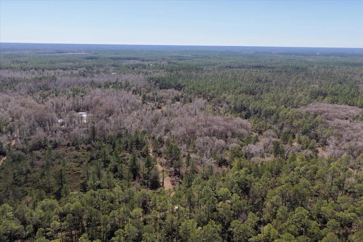 60 Acres NW CLYATT ROAD, CHIEFLAND, FL — photo 56