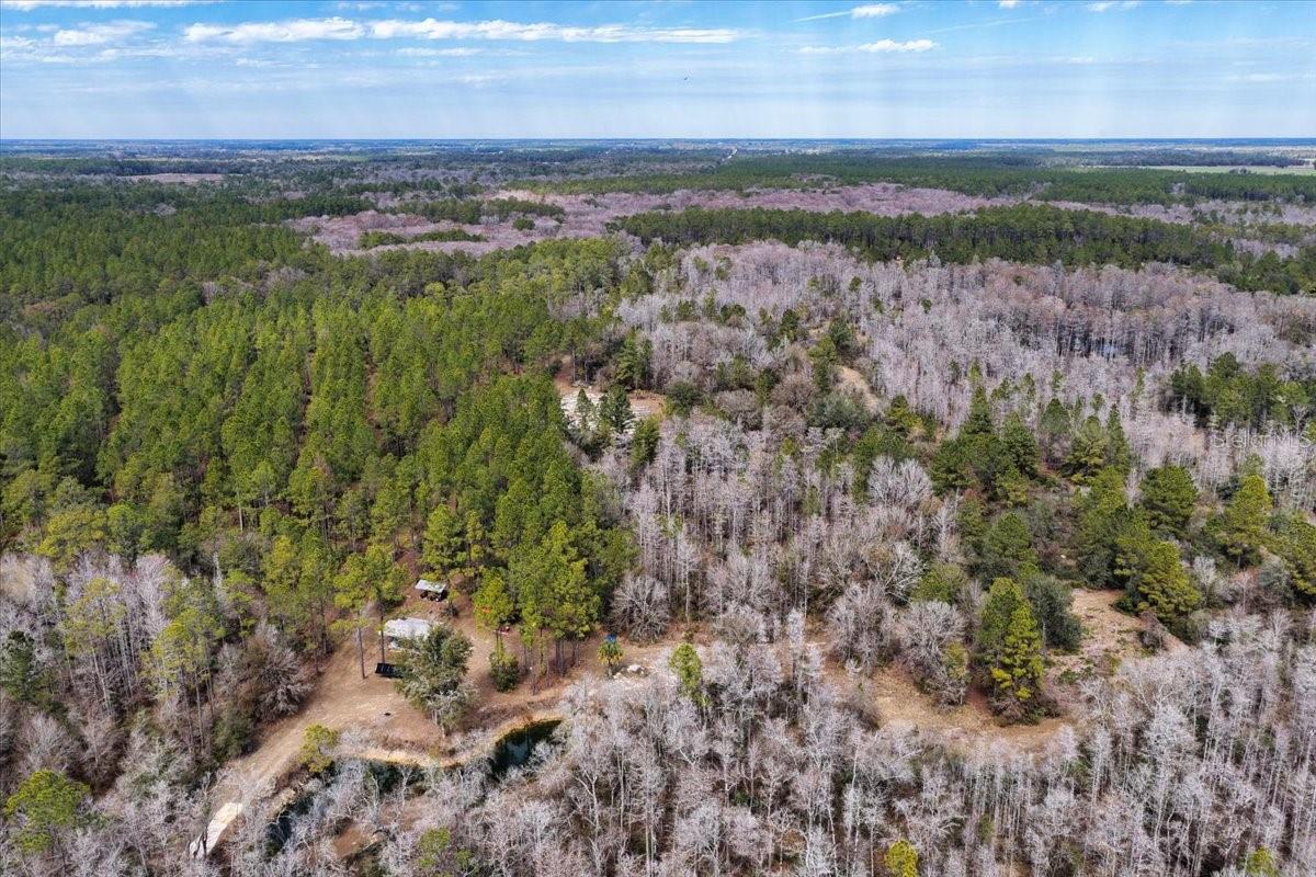 60 Acres NW CLYATT ROAD, CHIEFLAND, FL — photo 57