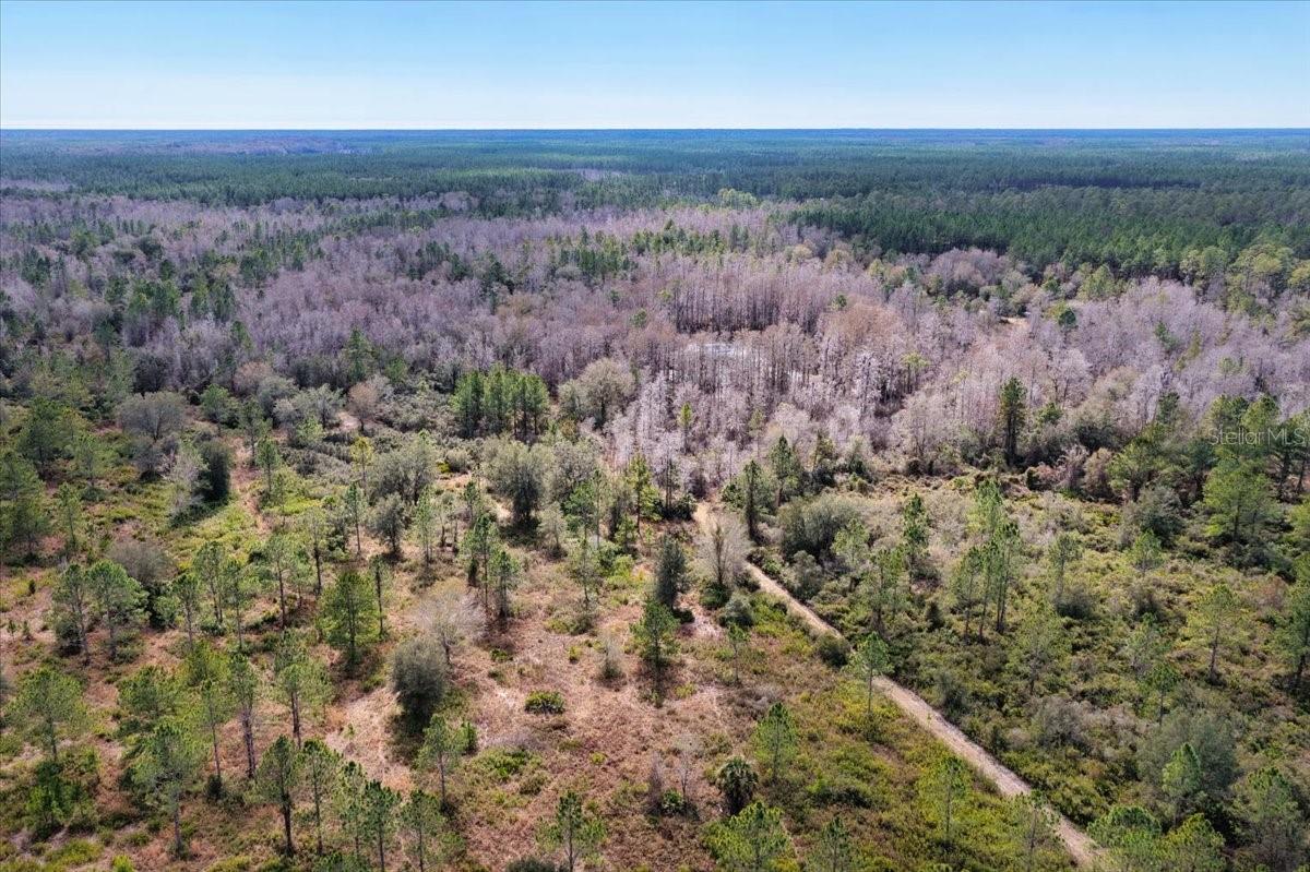 60 Acres NW CLYATT ROAD, CHIEFLAND, FL — photo 60