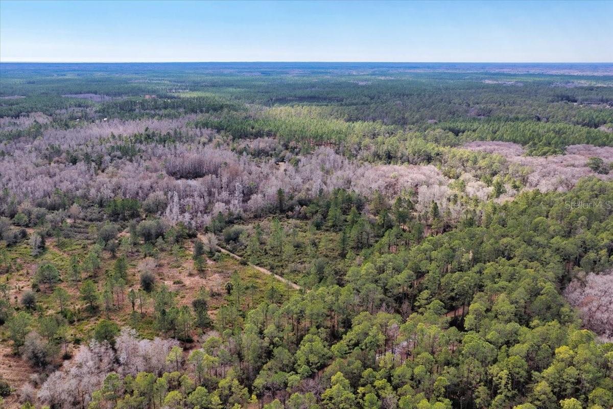 60 Acres NW CLYATT ROAD, CHIEFLAND, FL — photo 61