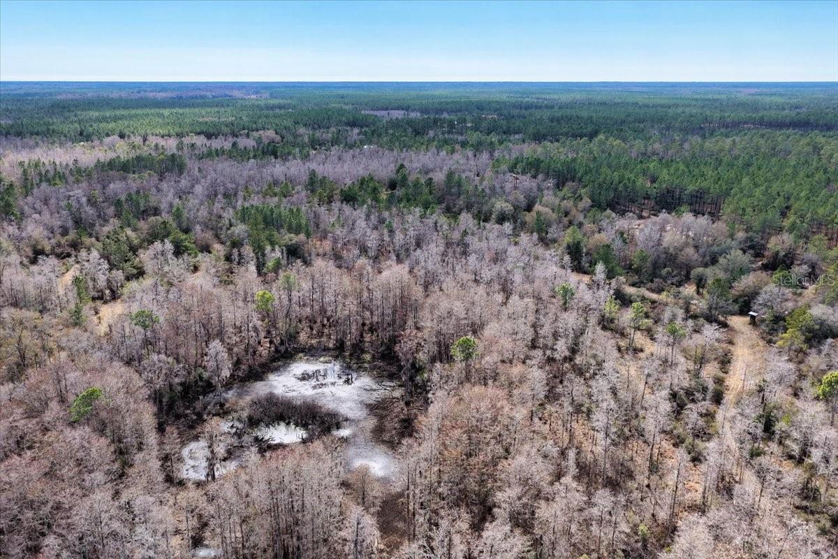 60 Acres NW CLYATT ROAD, CHIEFLAND, FL — photo 62