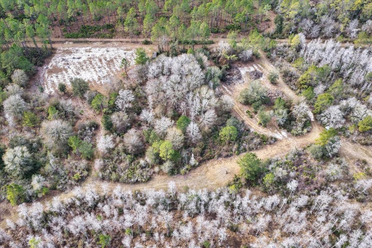 60 Acres NW CLYATT ROAD, CHIEFLAND, FL — photo 64