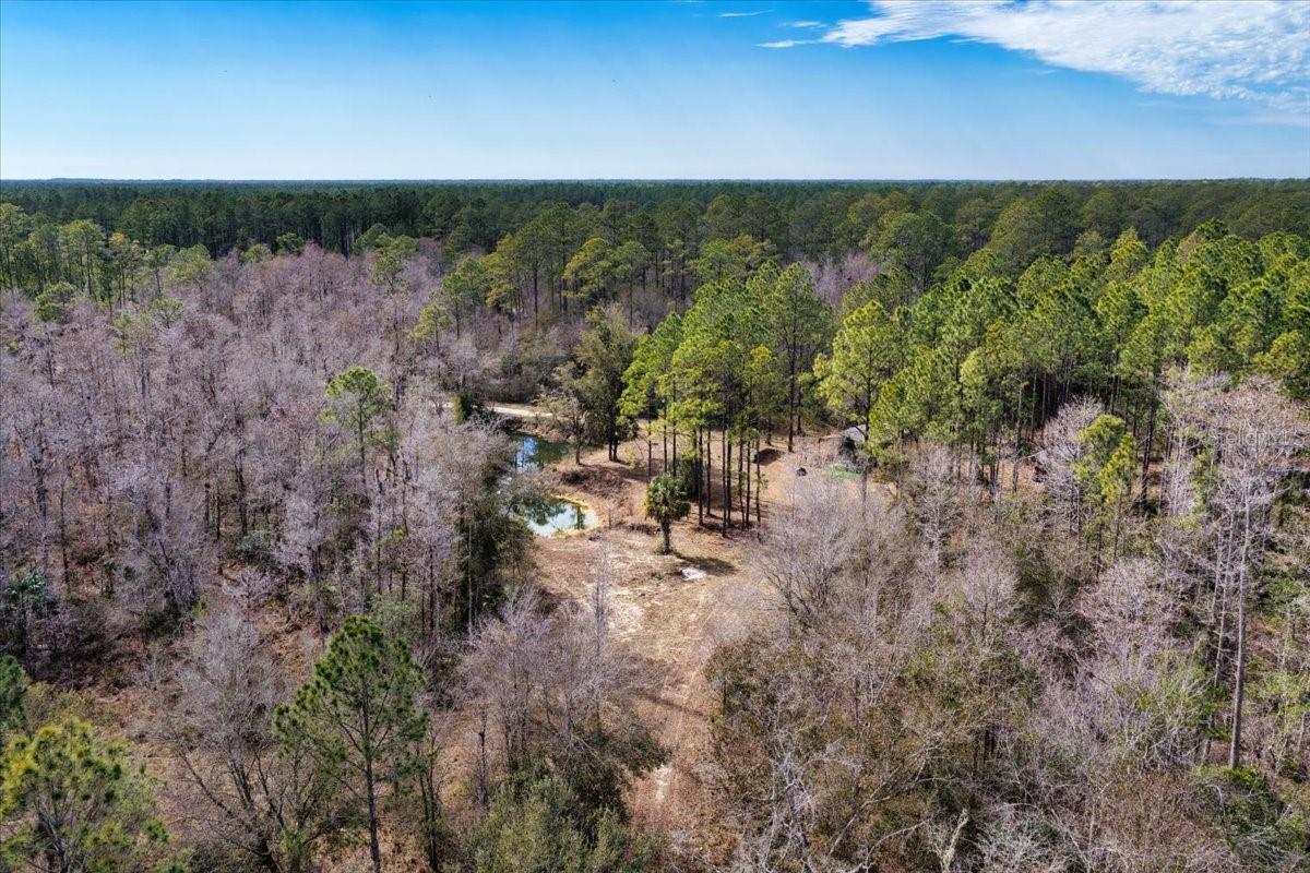 60 Acres NW CLYATT ROAD, CHIEFLAND, FL — photo 65