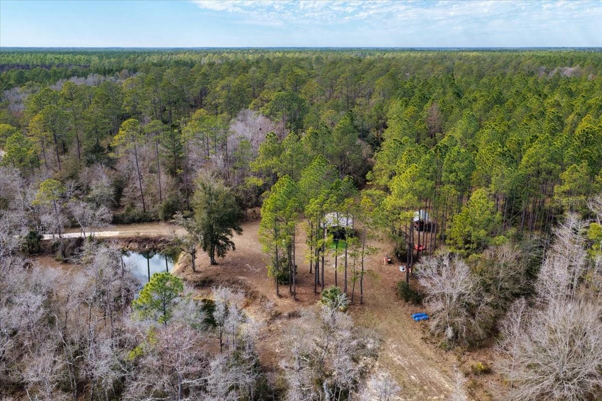 60 Acres NW CLYATT ROAD, CHIEFLAND, FL — photo 66