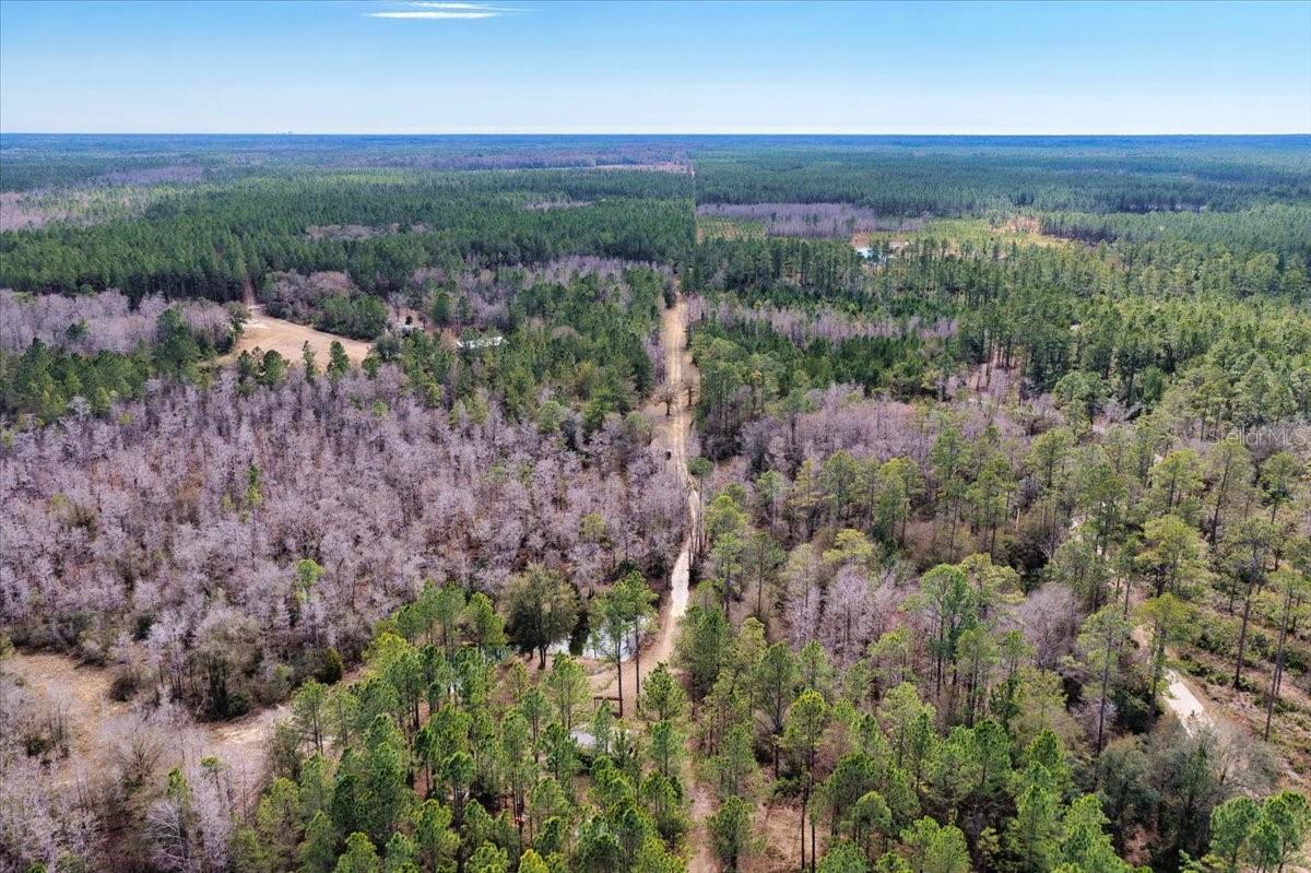 60 Acres NW CLYATT ROAD, CHIEFLAND, FL — photo 67