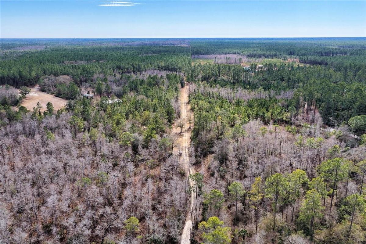 60 Acres NW CLYATT ROAD, CHIEFLAND, FL — photo 68