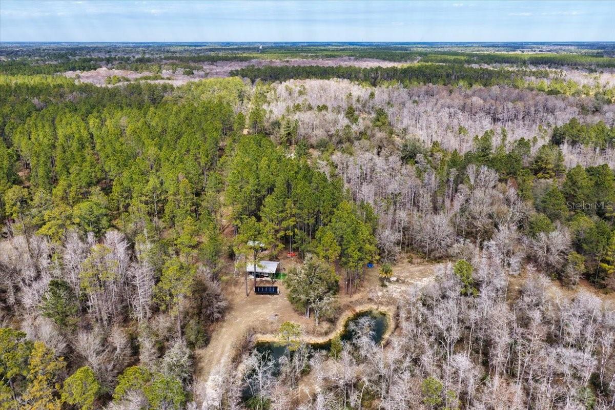 60 Acres NW CLYATT ROAD, CHIEFLAND, FL — photo 69