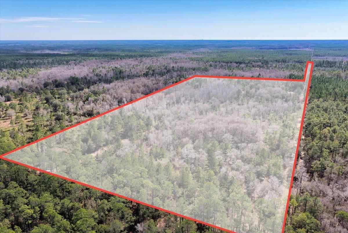 60 Acres NW CLYATT ROAD, CHIEFLAND, FL — photo 70