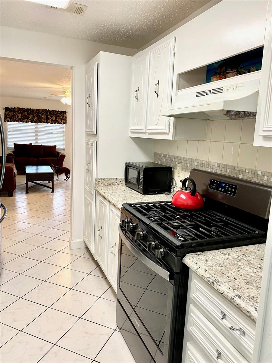 10032 65TH AVE N #17, ST PETERSBURG, FL — photo 6