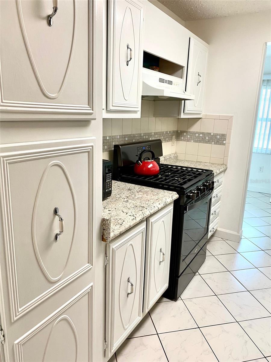10032 65TH AVE N #17, ST PETERSBURG, FL — photo 8