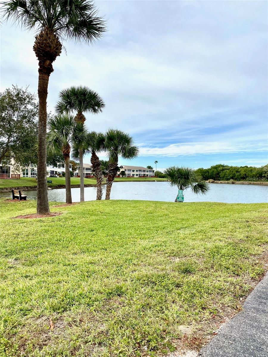 10032 65TH AVE N #17, ST PETERSBURG, FL — photo 24