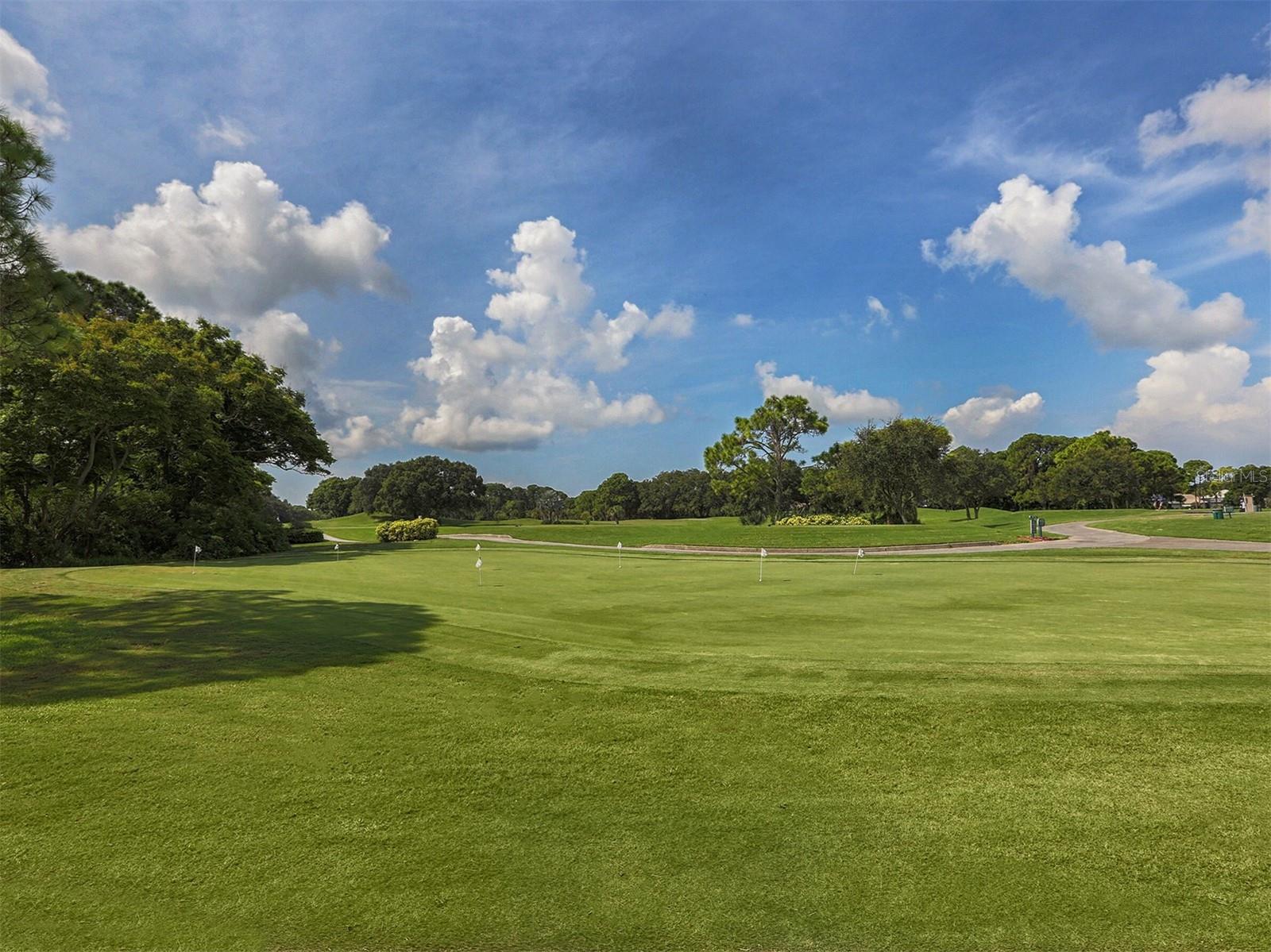 2139 CALUSA LAKES BLVD, NOKOMIS, FL — photo 40