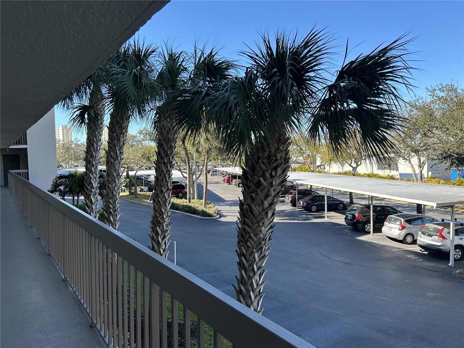 1316 PASADENA AVE S #202, SOUTH PASADENA, FL — photo 25