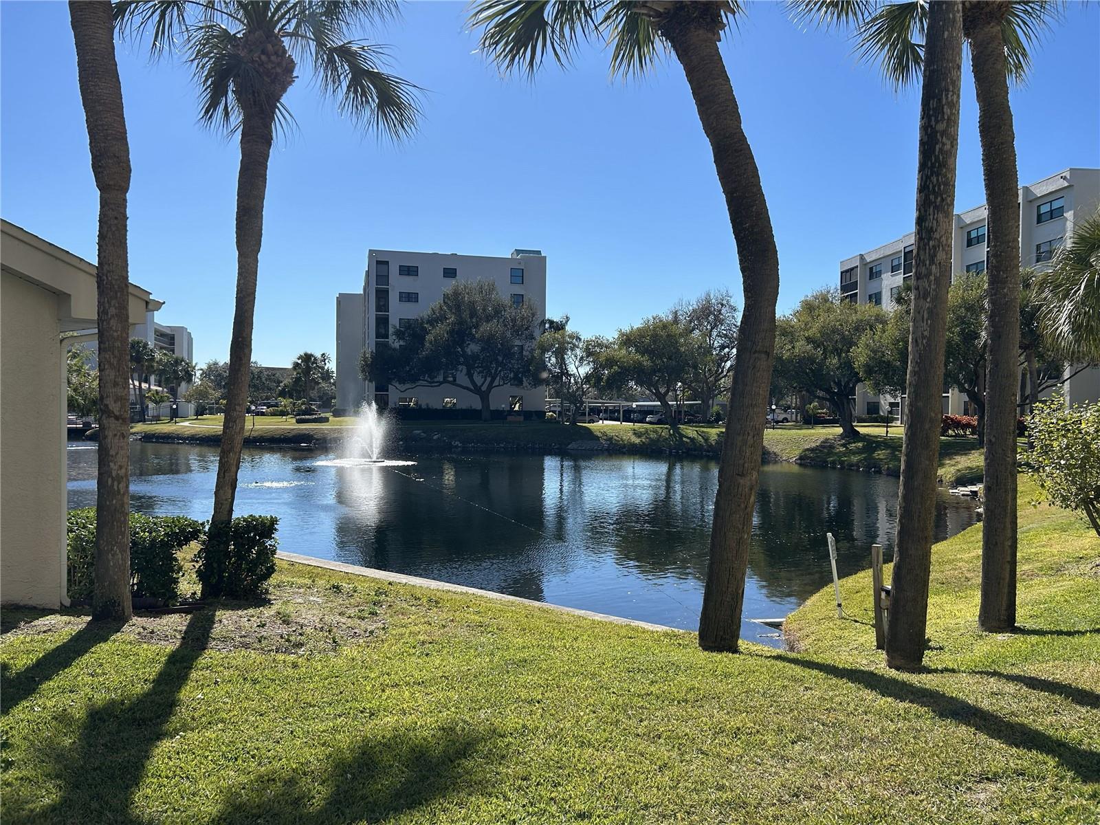 1316 PASADENA AVE S #202, SOUTH PASADENA, FL — photo 43
