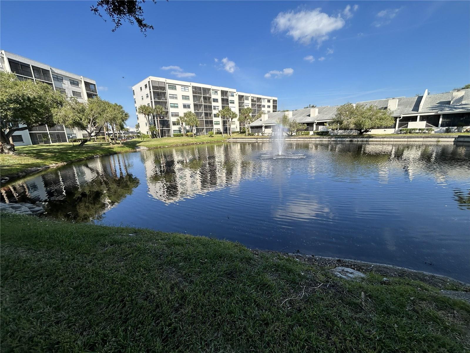 1316 PASADENA AVE S #202, SOUTH PASADENA, FL — photo 44