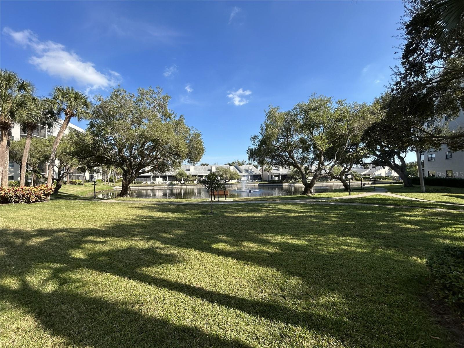1316 PASADENA AVE S #202, SOUTH PASADENA, FL — photo 45