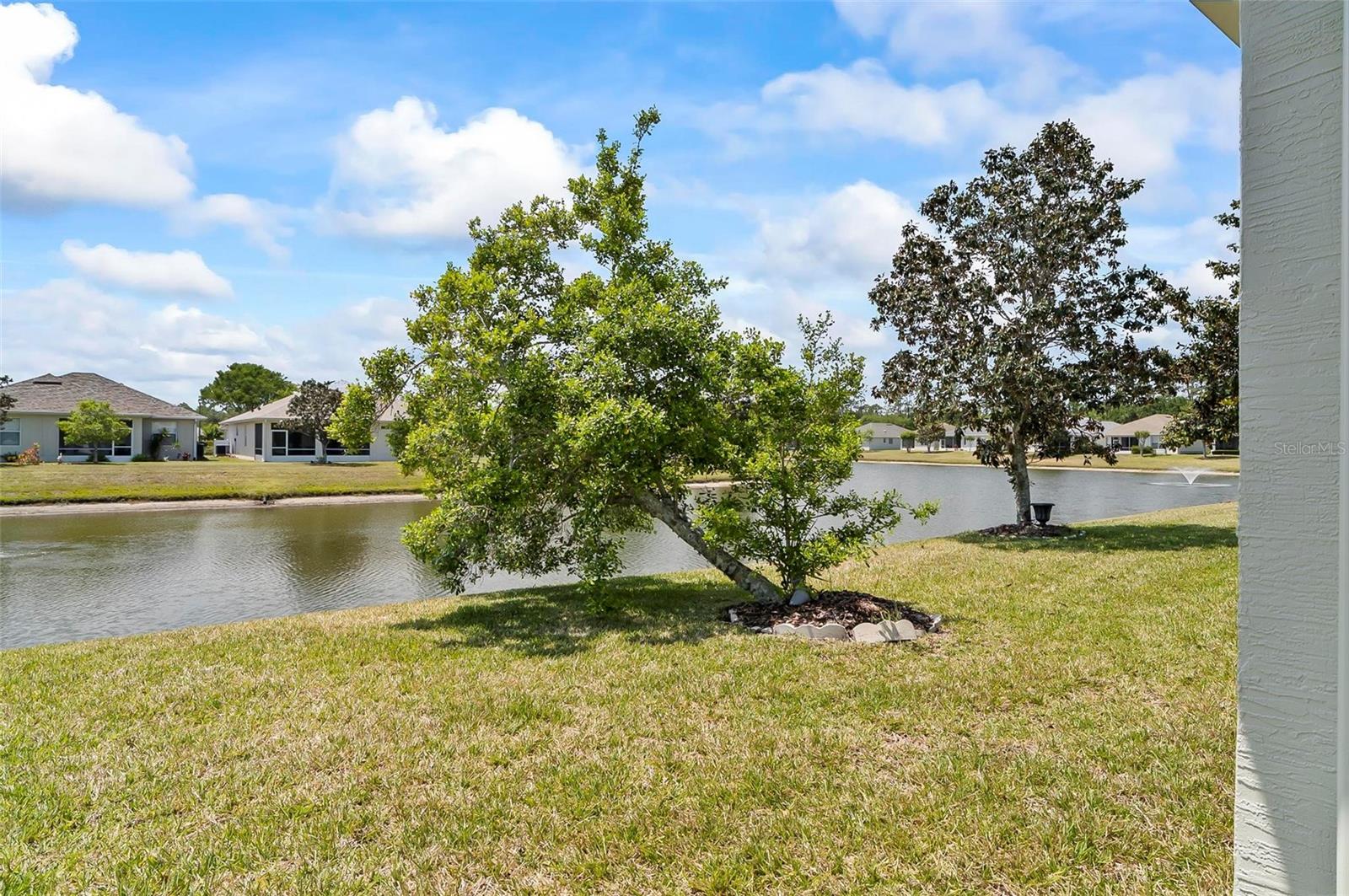 19 RAINTREE CIR, PALM COAST, FL — photo 44