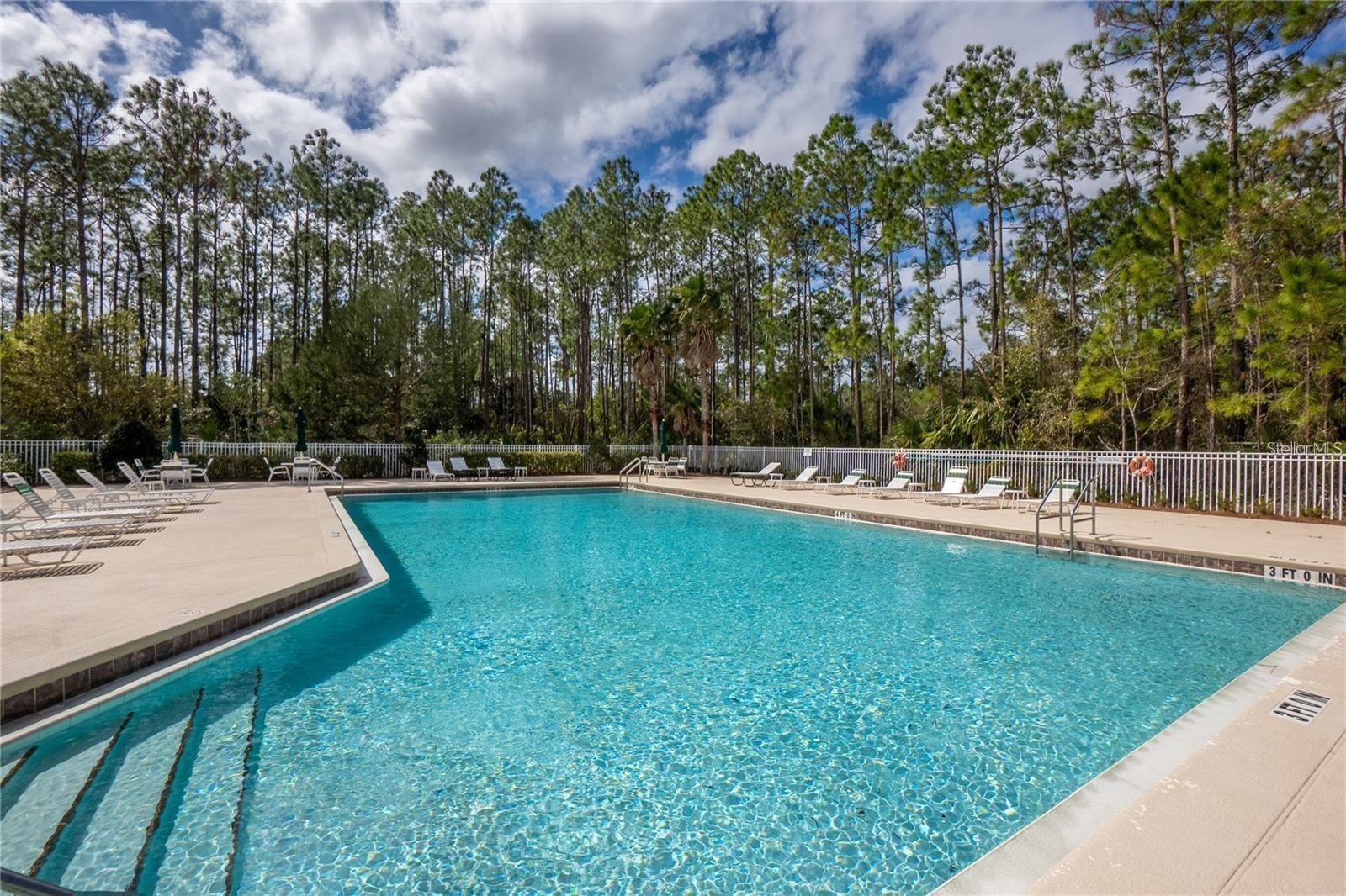 19 RAINTREE CIR, PALM COAST, FL — photo 47