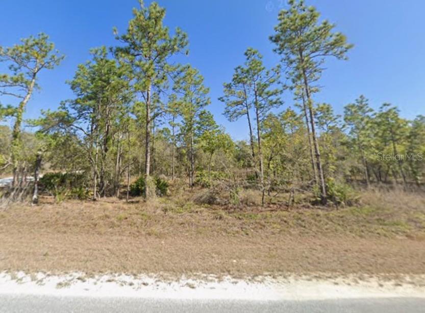 16230 KAKAWI RD, BROOKSVILLE, FL