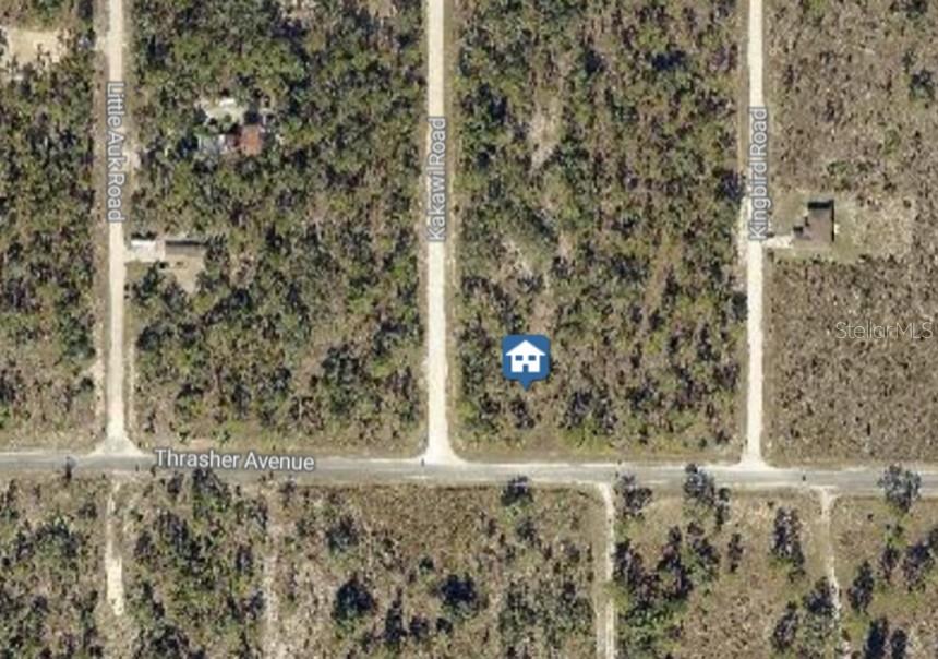 16230 KAKAWI RD, BROOKSVILLE, FL — photo 3