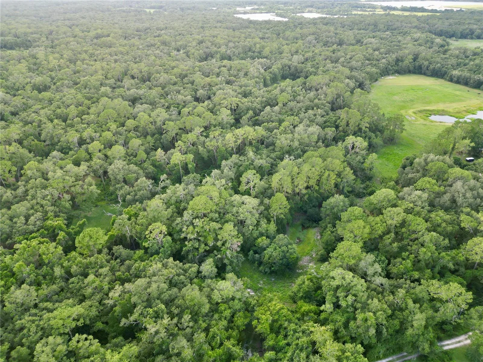 TBD SW 31ST WAY WAY, WEBSTER, FL — photo 3