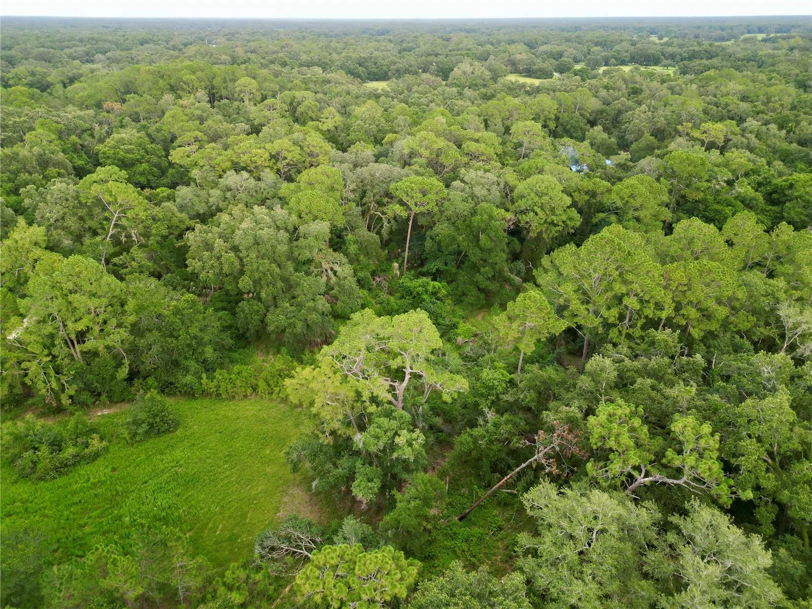 TBD SW 31ST WAY WAY, WEBSTER, FL — photo 8