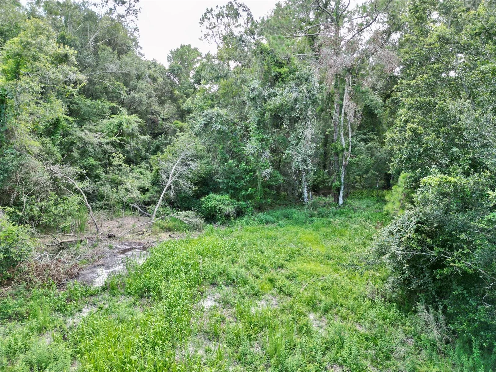 TBD SW 31ST WAY WAY, WEBSTER, FL — photo 9