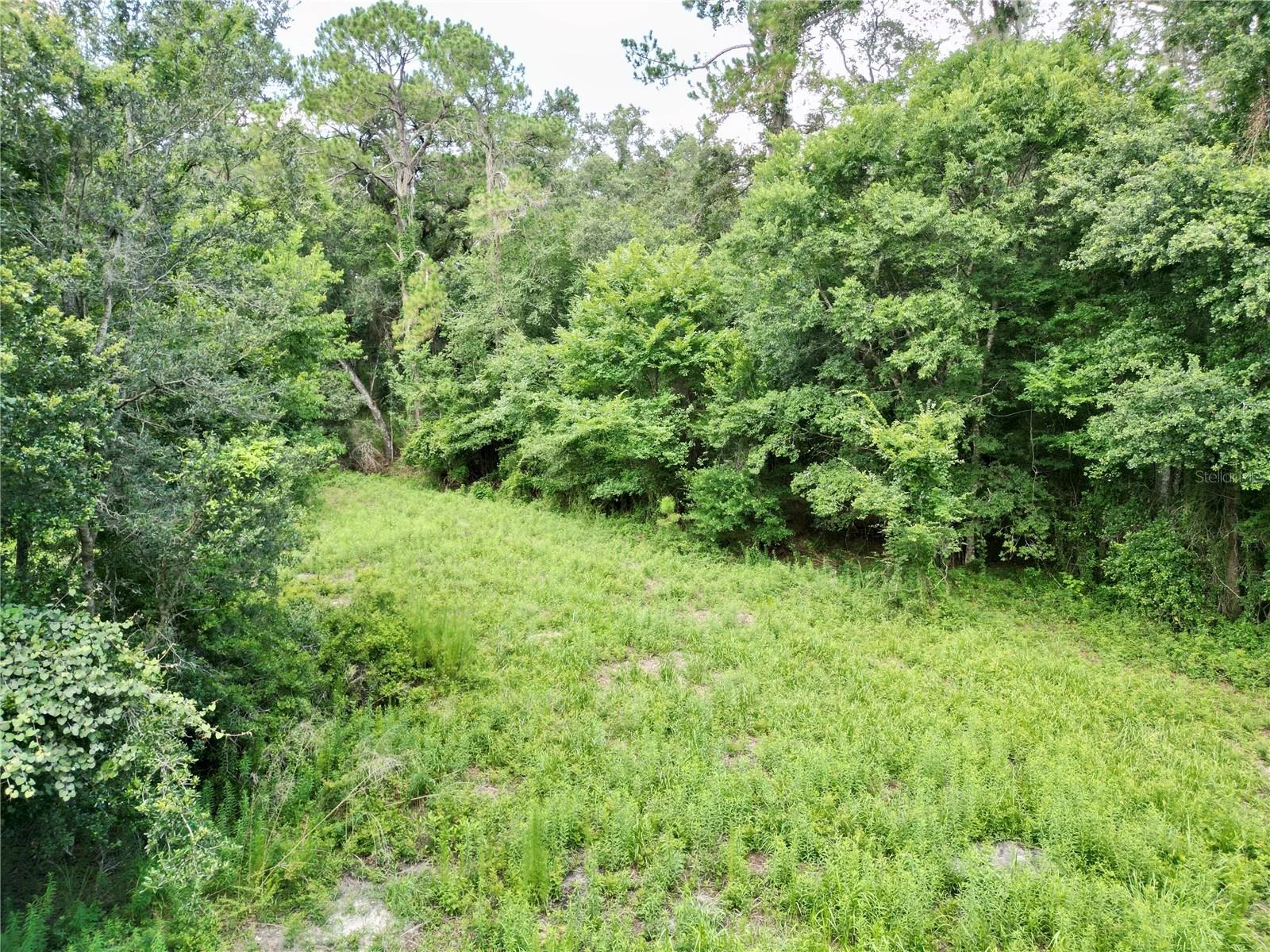 TBD SW 31ST WAY WAY, WEBSTER, FL — photo 10