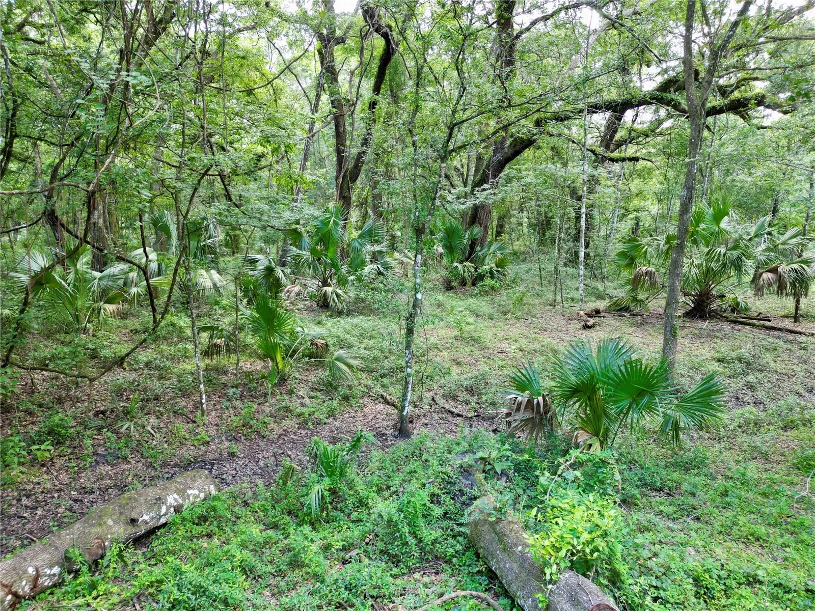 TBD SW 31ST WAY WAY, WEBSTER, FL — photo 11