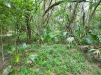 TBD SW 31ST WAY WAY — photo 13