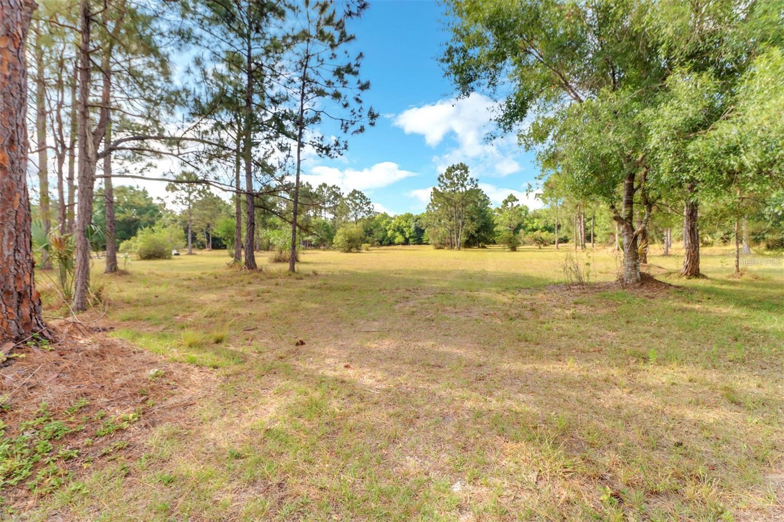 1000 RABBIT RUN RD, NAPLES, FL — photo 29