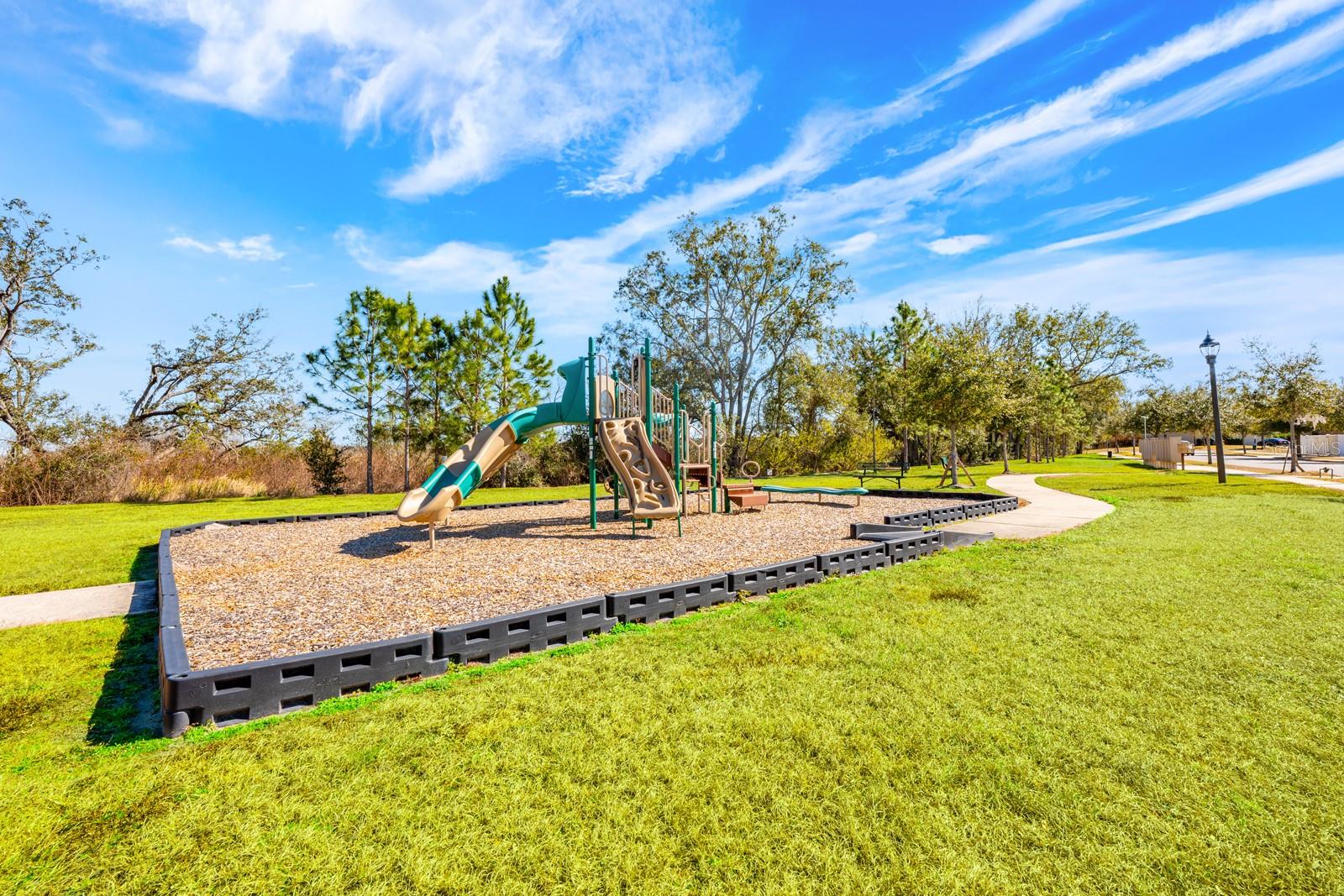 16434 WINDING BLOSSOM DR, GROVELAND, FL — photo 53
