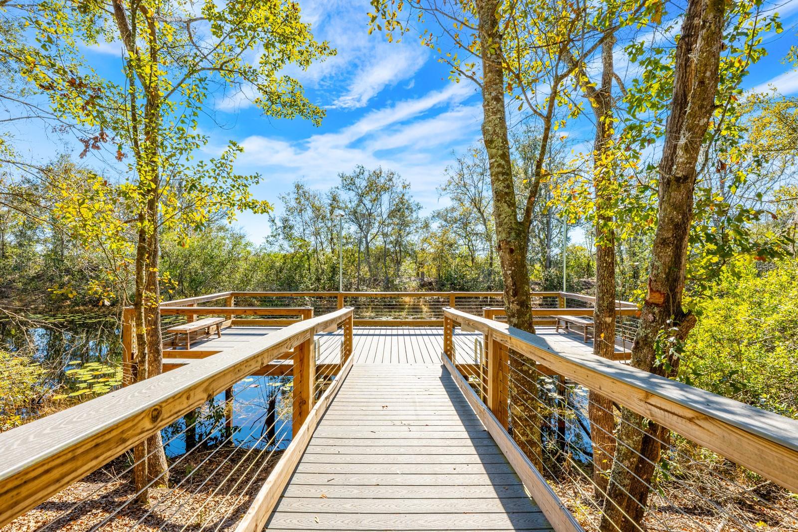 16434 WINDING BLOSSOM DR, GROVELAND, FL — photo 58