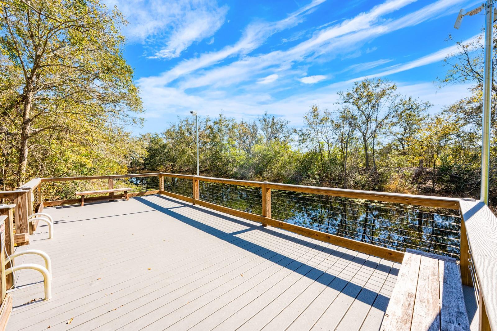 16434 WINDING BLOSSOM DR, GROVELAND, FL — photo 59