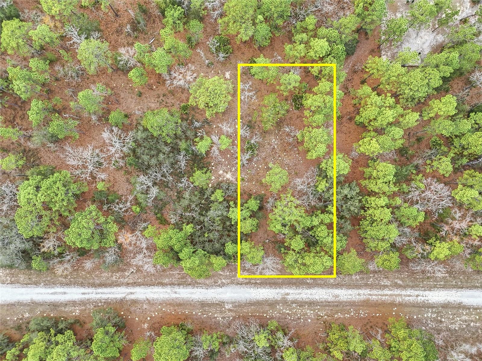 CAYMAN RD, WEEKI WACHEE, FL — photo 7