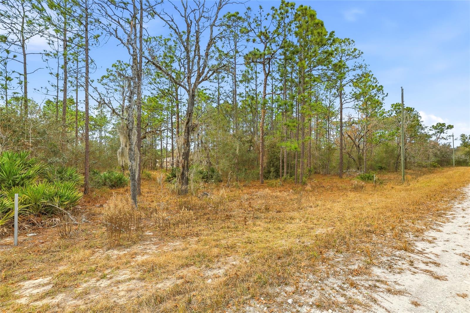 CAYMAN RD, WEEKI WACHEE, FL — photo 9