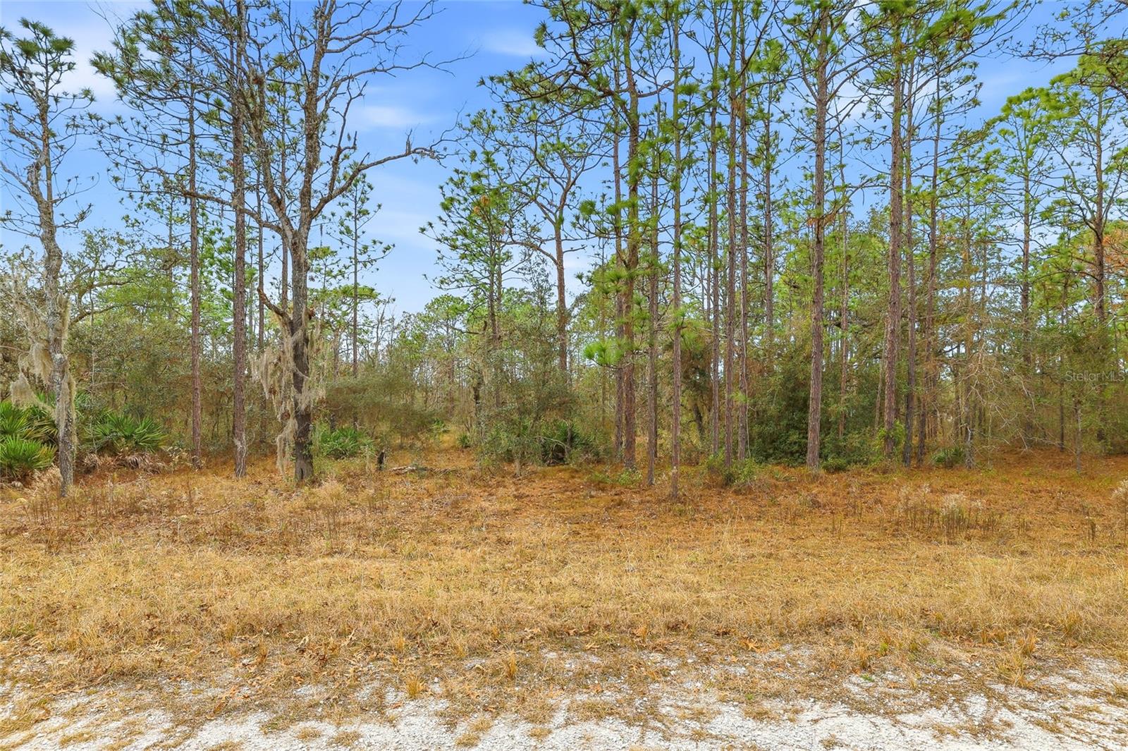 CAYMAN RD, WEEKI WACHEE, FL — photo 11