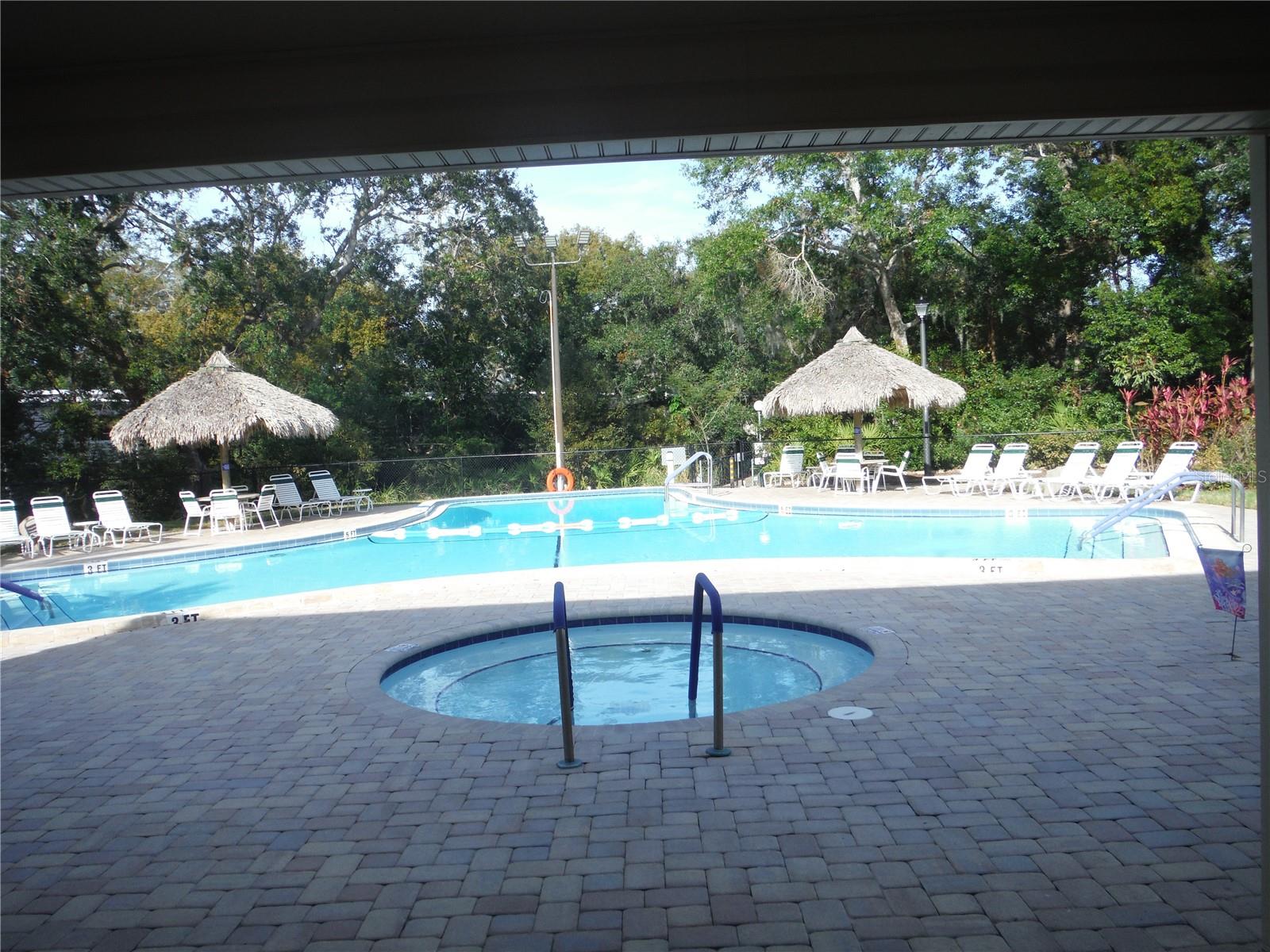 98 SUGAR BEAR DR #57, SAFETY HARBOR, FL — photo 36