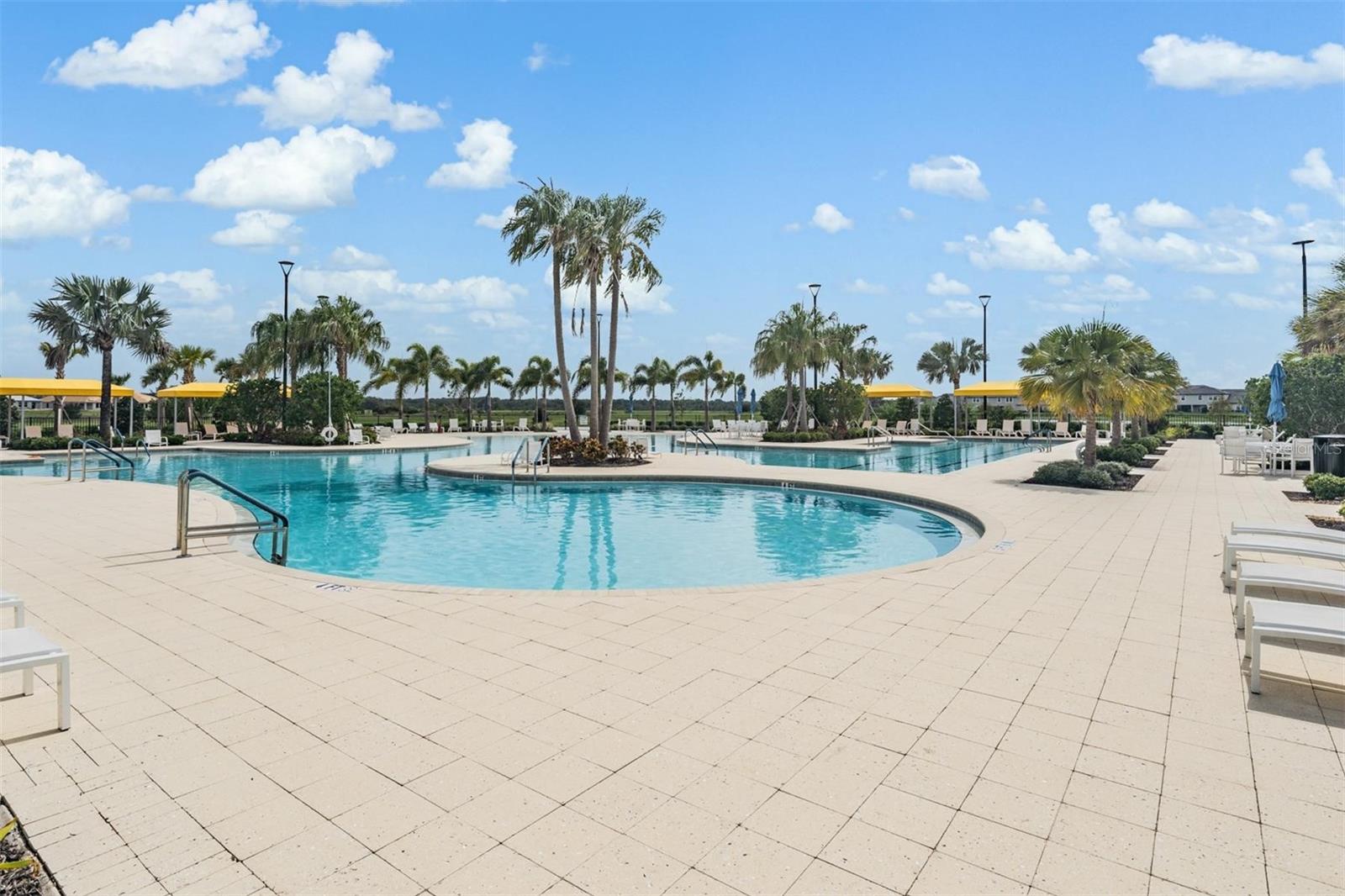 31310 CABANA RYE AVE, SAN ANTONIO, FL — photo 41