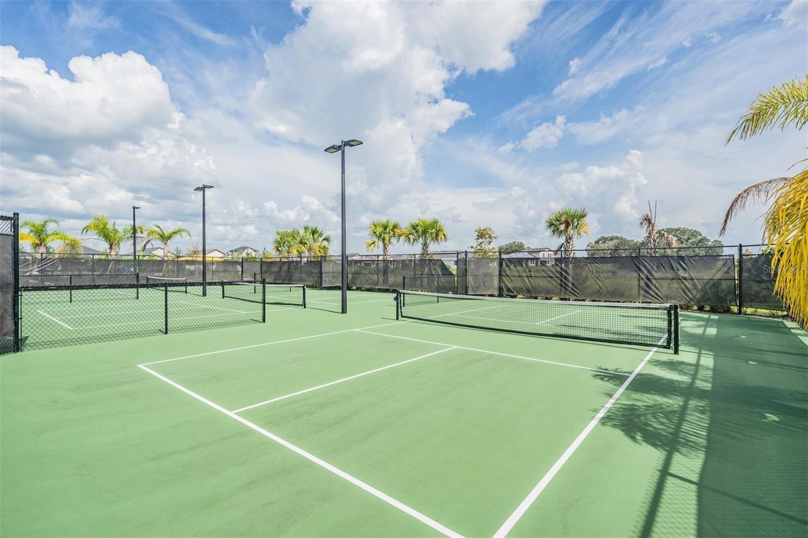 31310 CABANA RYE AVE, SAN ANTONIO, FL — photo 54