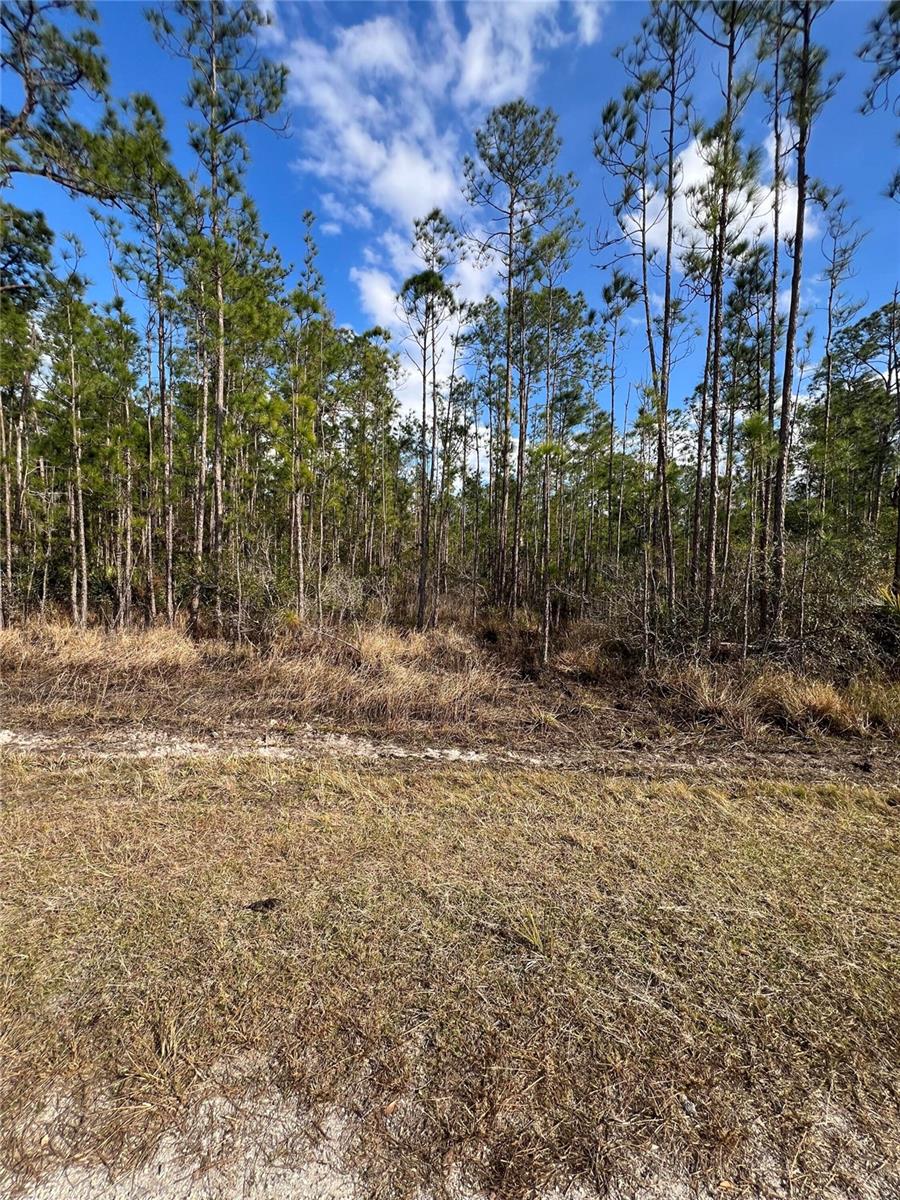6660 BALBOA BLVD, SEBRING, FL