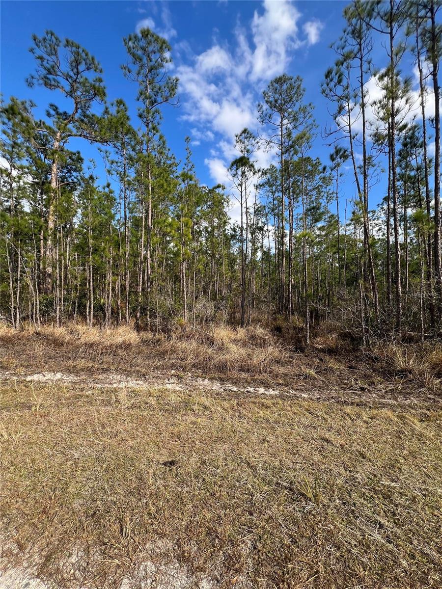 6660 BALBOA BLVD, SEBRING, FL — photo 2