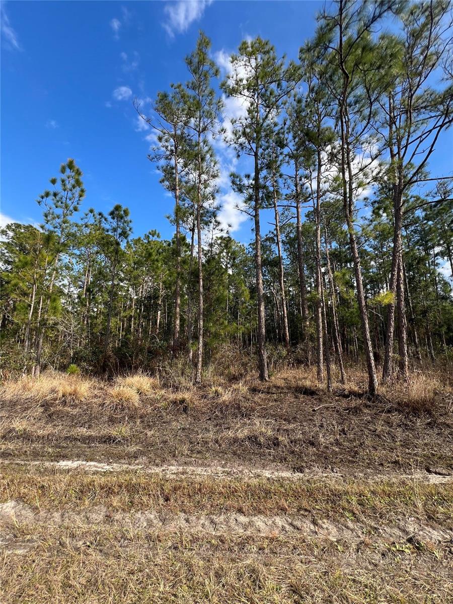 6660 BALBOA BLVD, SEBRING, FL — photo 4
