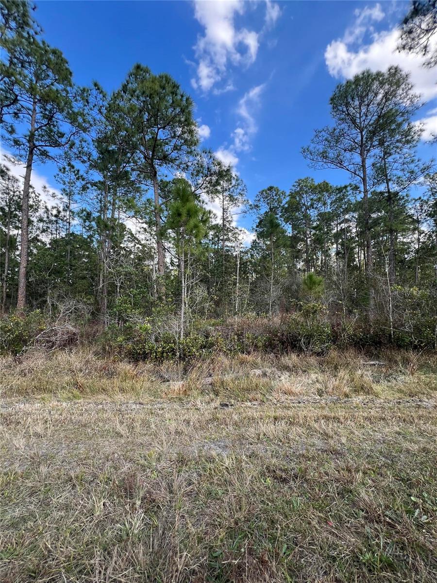 6727 BALBOA BLVD, SEBRING, FL