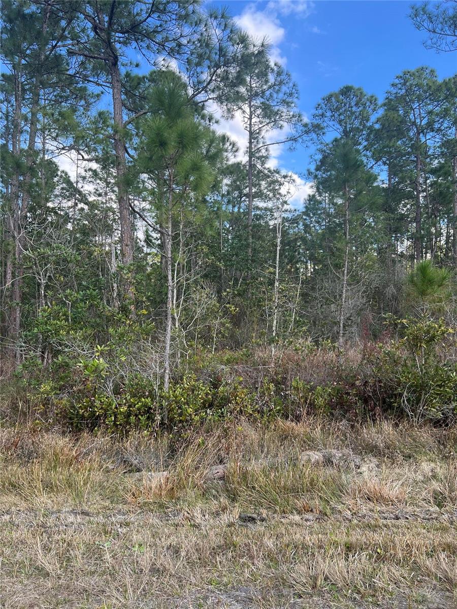 6727 BALBOA BLVD, SEBRING, FL — photo 2