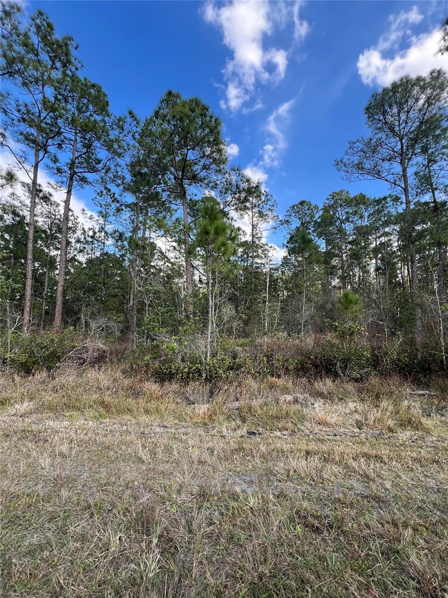6727 BALBOA BLVD, SEBRING, FL — photo 3