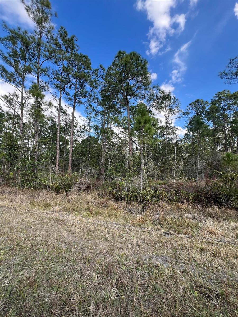 6727 BALBOA BLVD, SEBRING, FL — photo 4