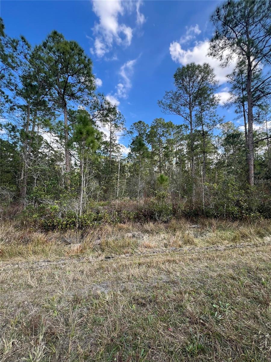 6727 BALBOA BLVD, SEBRING, FL — photo 5