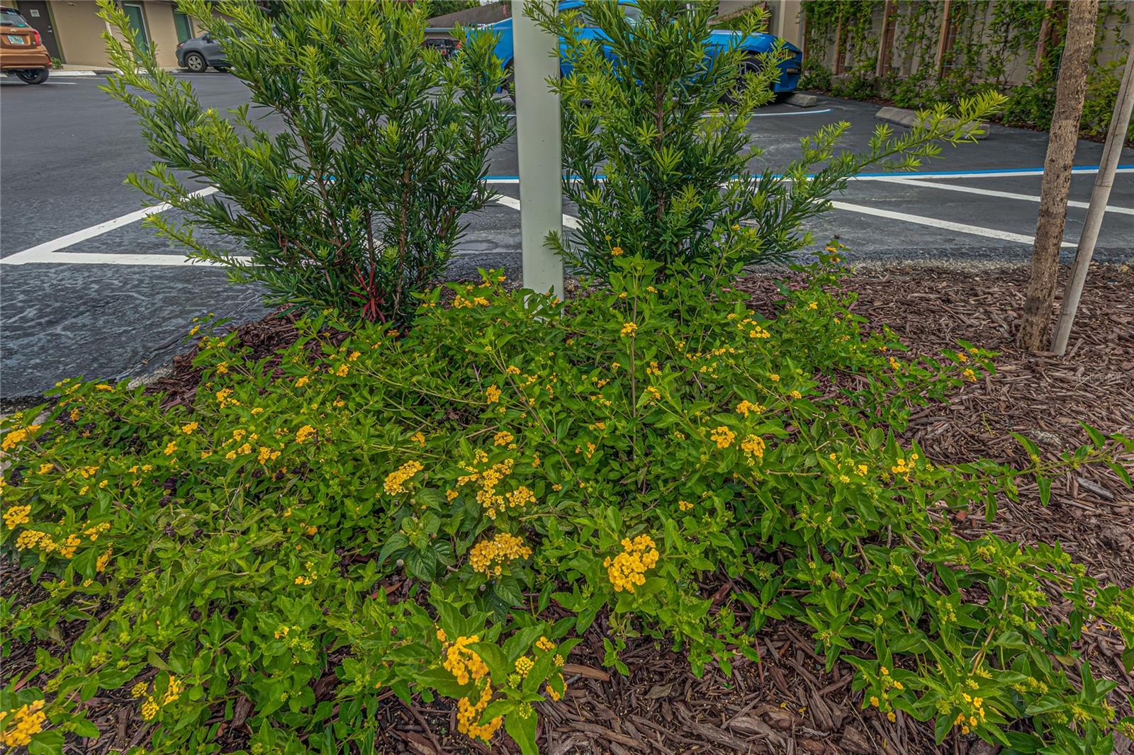 125 W PLYMOUTH AVE, STE. 121 RD #121, DELAND, FL — photo 5