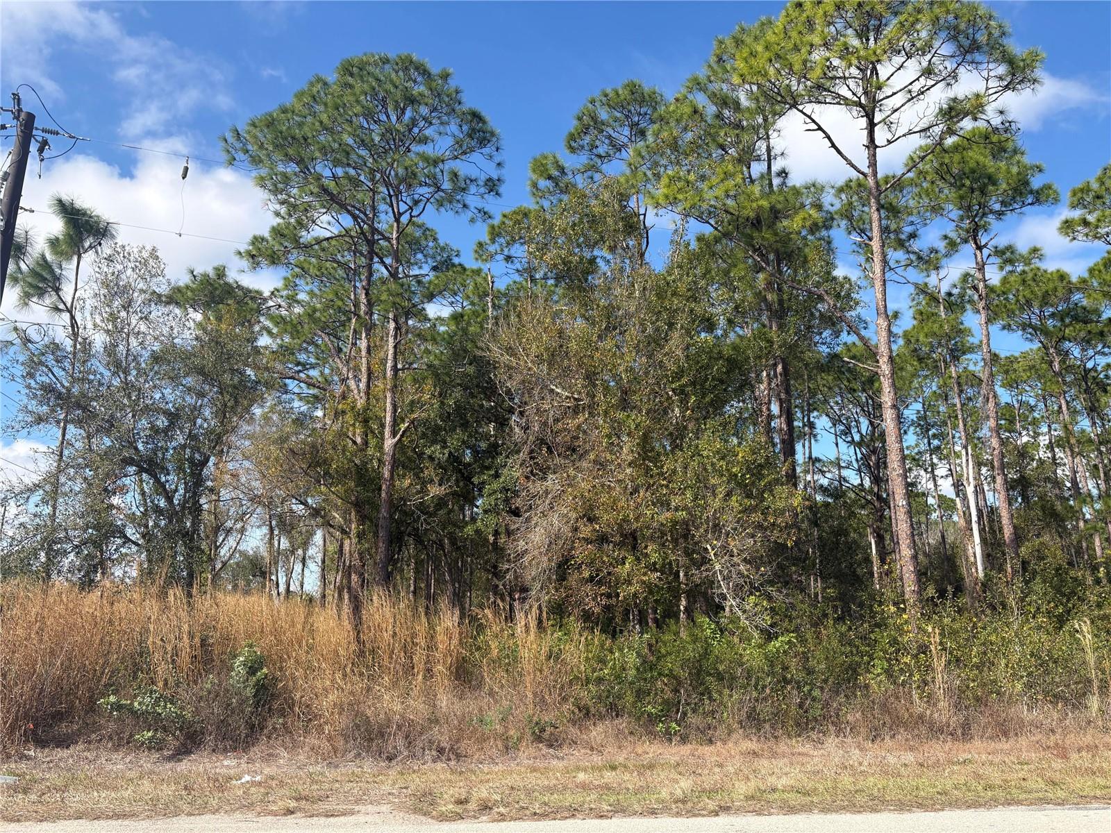 3214 SR-66, SEBRING, FL — photo 2
